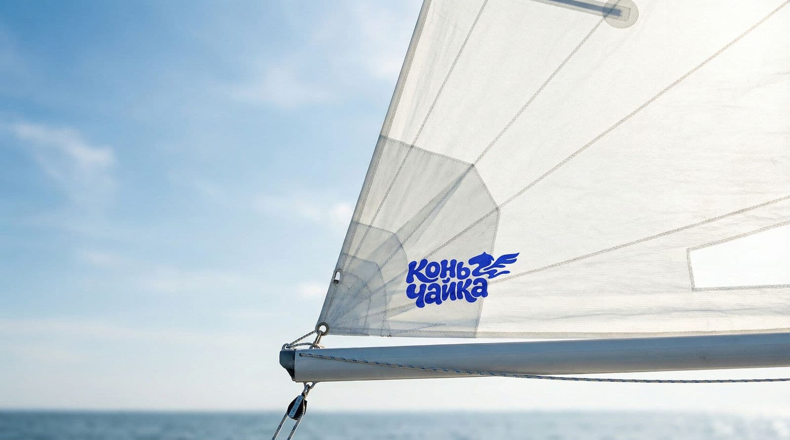 Конь-Чайка — галерея