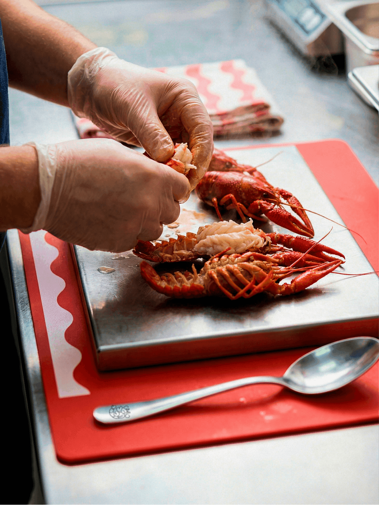 Море Раков — галерея