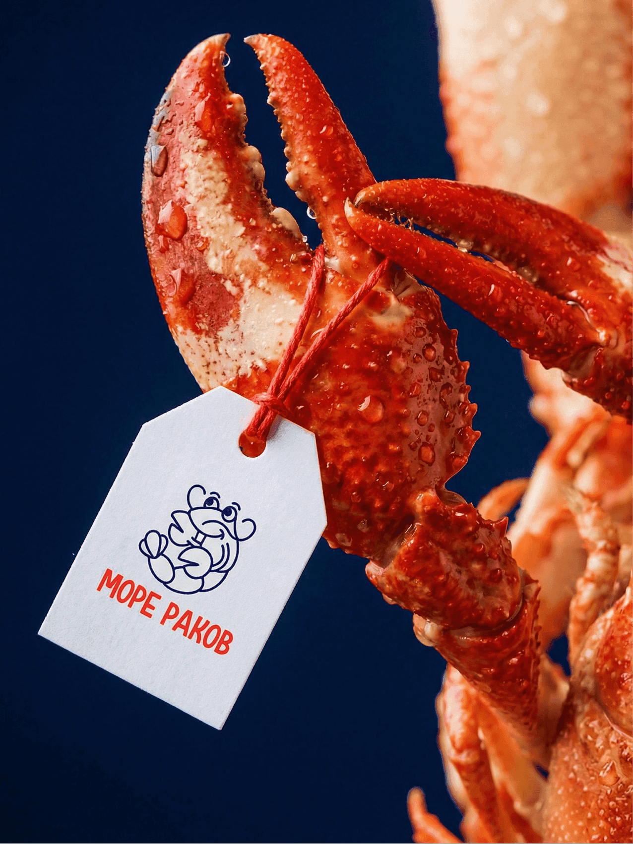 Море Раков — галерея